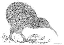 Kiwi