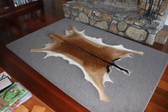 Fallow deer skin