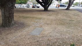 Grid lines in the square