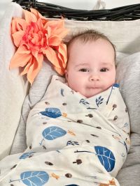 Swaddles