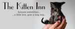 Kitten Inn Animal Rescue