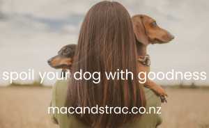 Organic Dog Treats