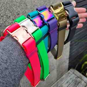 Led &amp; Collared
